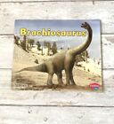 Dinosaurs Children’s Book Scholastic Kids Brachiosaurus New