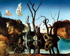 Print - Swans Reflecting Elephants, 1937 by Salvador Dali
