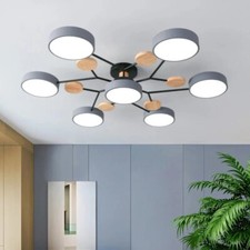 Chandelier Living Room Ceiling Light Modern LED Bedroom Hotel Dimmable Hallway