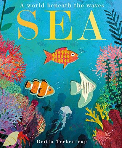 Sea: A World Beneath the Waves - Hardcover By Hegarty, Patricia - VERY GOOD