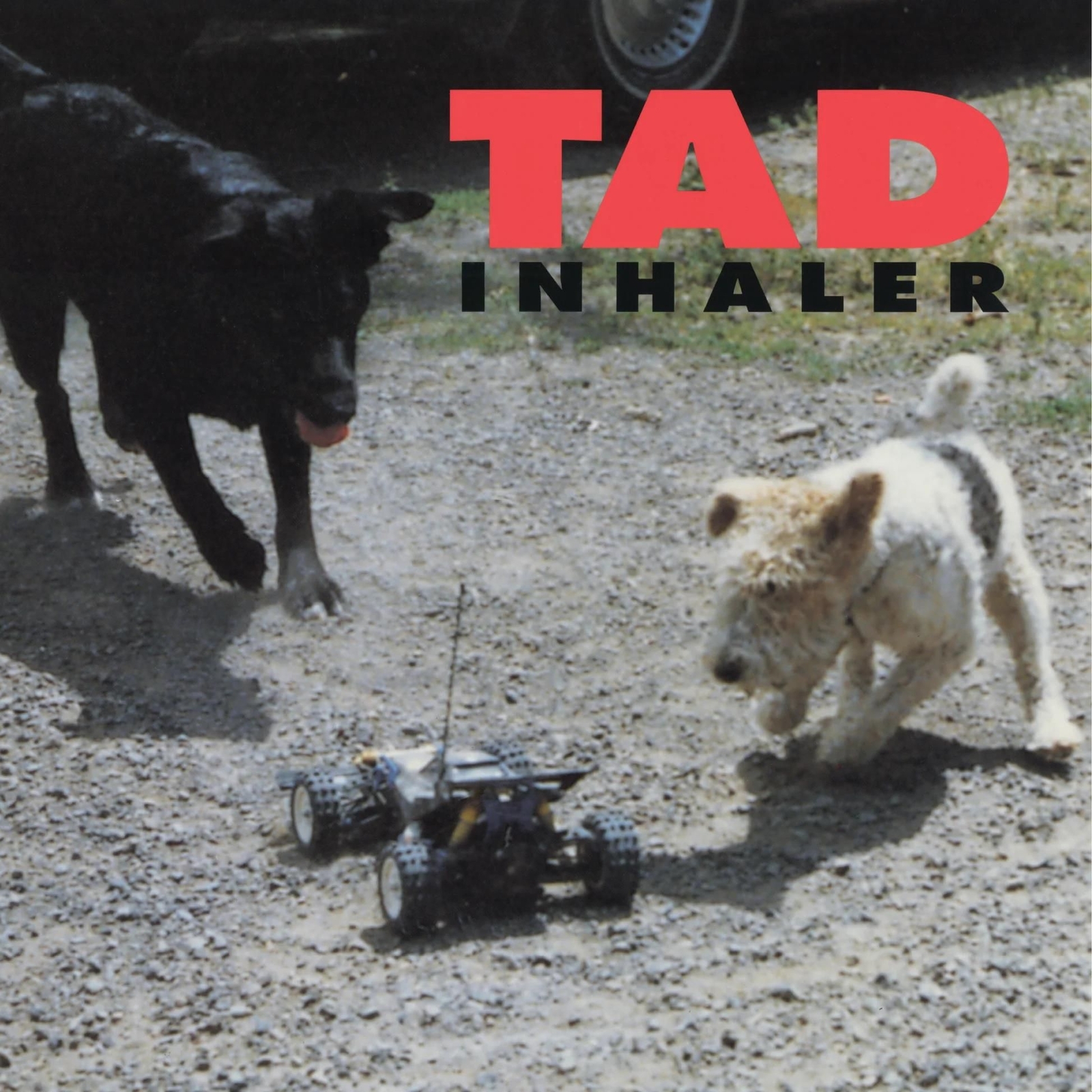 Vinile Tad - Inhaler