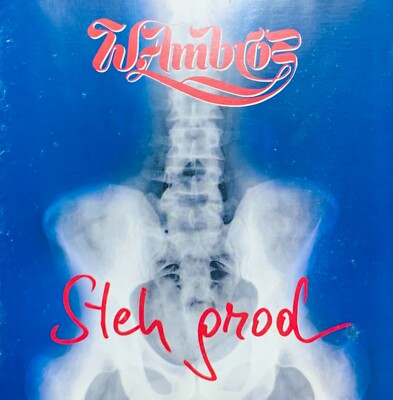 Wolfgang Ambros    Steh Grod | CD