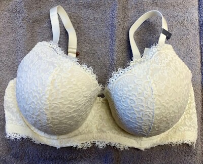 Aerie Real Power Plunge Push Up Eyelash Lace Bra -- IVORY 38DD