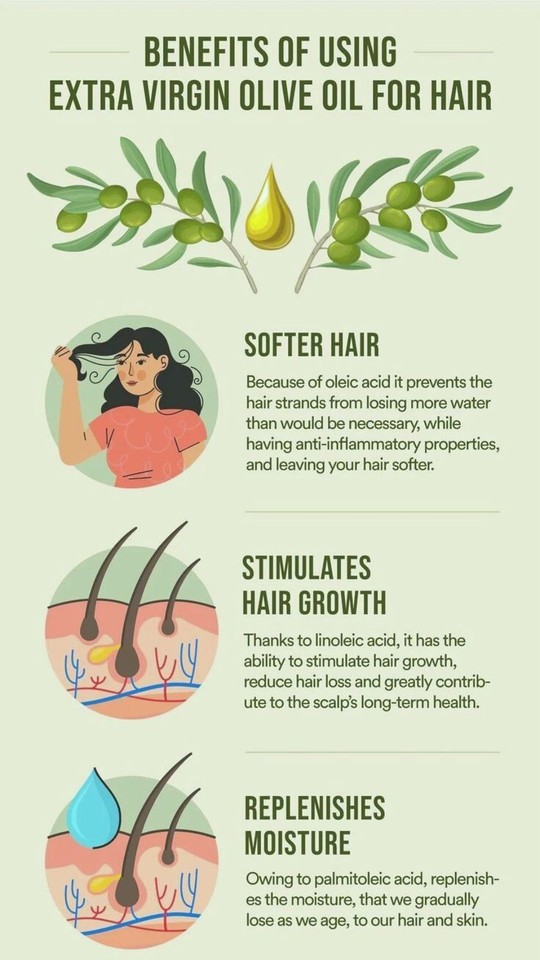 Hair Growth Oil With Rosemary 100 Natural Organic Herb TreatmentFor