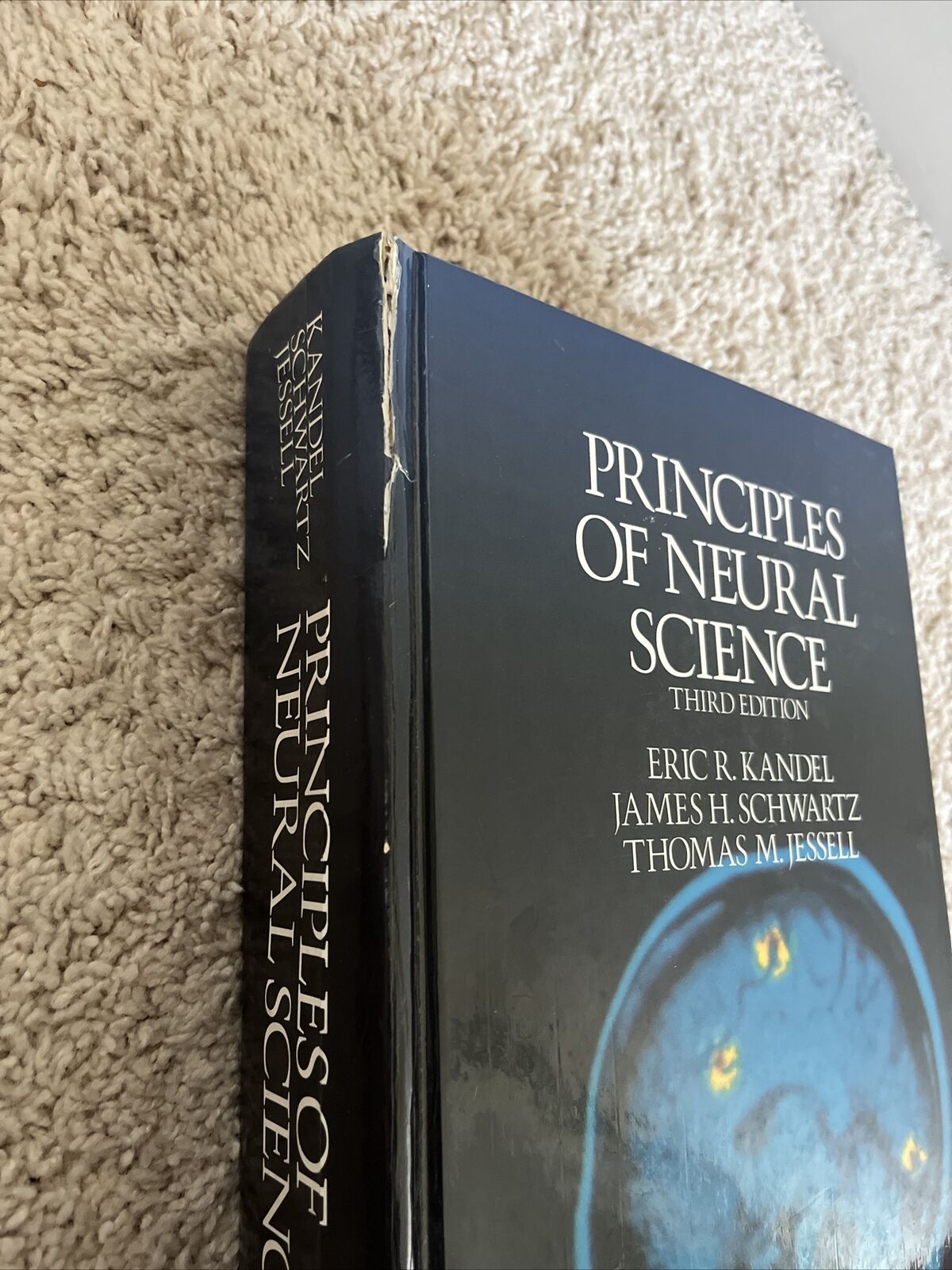Principles of Neural Science by James H. Schwartz (1991, Hardcover