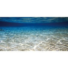 30x18 inches Ocean Floor Aquarium Background Underwater Fish Tank Background ...