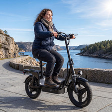 500W Peak Electric Scooter for Adults 48V 15AH 20-24MPH 14'' Commuting E-Scooter