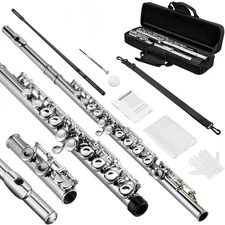 POGOLAB Closed Hole C 16 Keys Flute Instrument Student Flute for Beginner