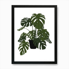 Monstera Plant 1 Art Print Framed Wall Art Poster Canvas Print Picture