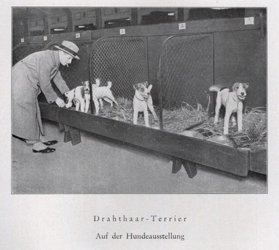 Fox Terrier - CUSTOM MATTED - 1940 Vintage Antique - German Dog ''Photo Print''