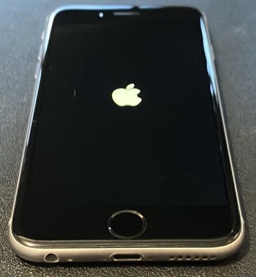 Apple iPhone 6s - 128 GB - Space Gray (Unlocked)
