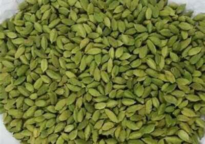Organic Green Cardamom Pods (Choti Elaichi ) + free shipping