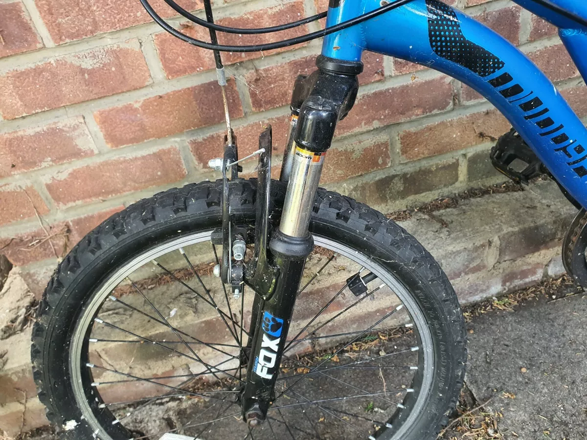 Muddyfox mtb online