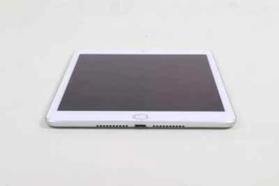 Apple iPad Mini (5th Generation) 256GB for sale - eBay