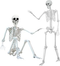 5.4 ft Halloween Skeleton Poseable Life Size Skeleton Full Body Plastic