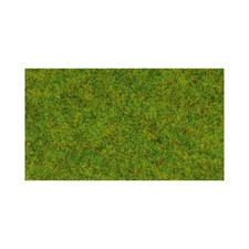 Noch 08300 Fr&uuml;hlingswiesen-Gras
