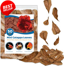 50pc Mini Catappa Indian Almond Leaves Betta Shrimp Aquarium pH Control - US