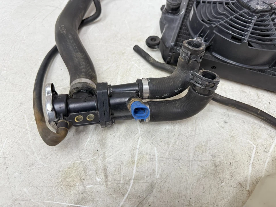 Harley Davidson Street XG 500 2020 radiador ventilador térmico botella depósito mangueras Foto 3 de 4