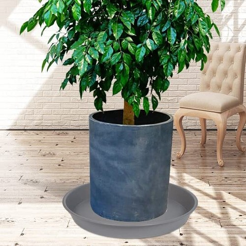 potted pine plant Norfolk Pine Faux Potted Tree