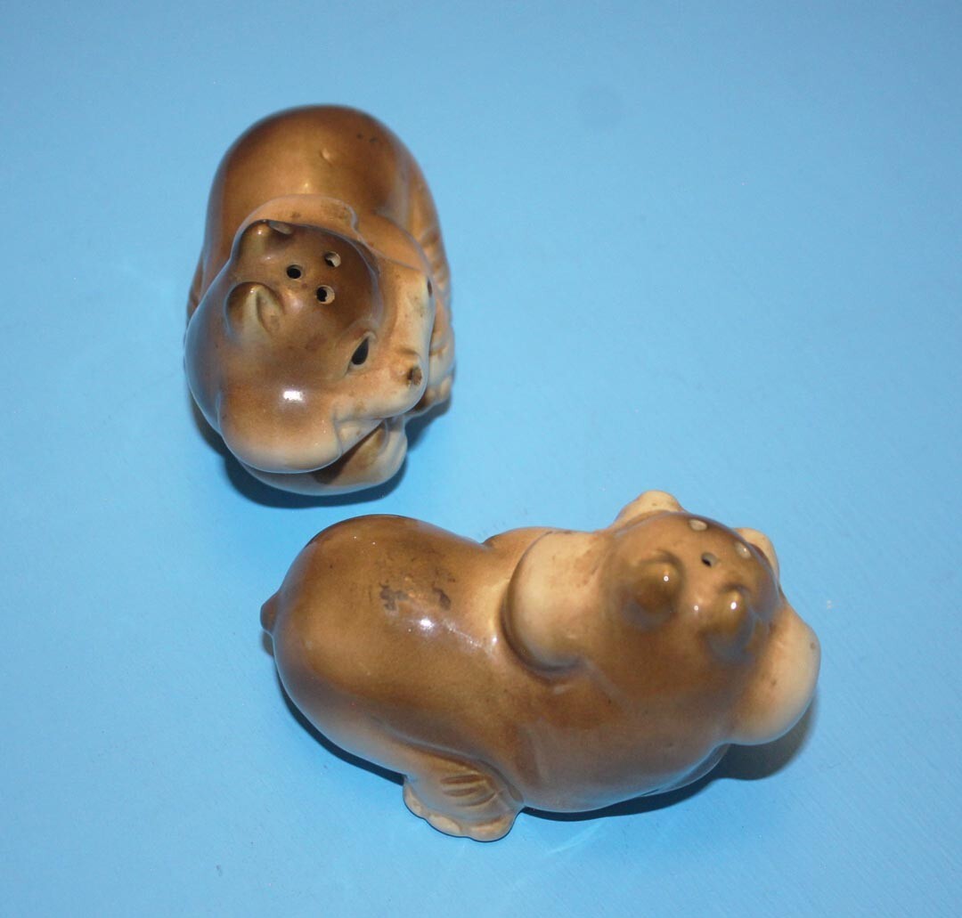 Hippopotamus Salt & Pepper Shaker Set * Hand Painted * Ceramic Hippo