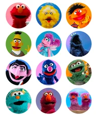 12 Sesame Street, edible paper, cupcake cookie toppers CHOOSE SIZE pre cut