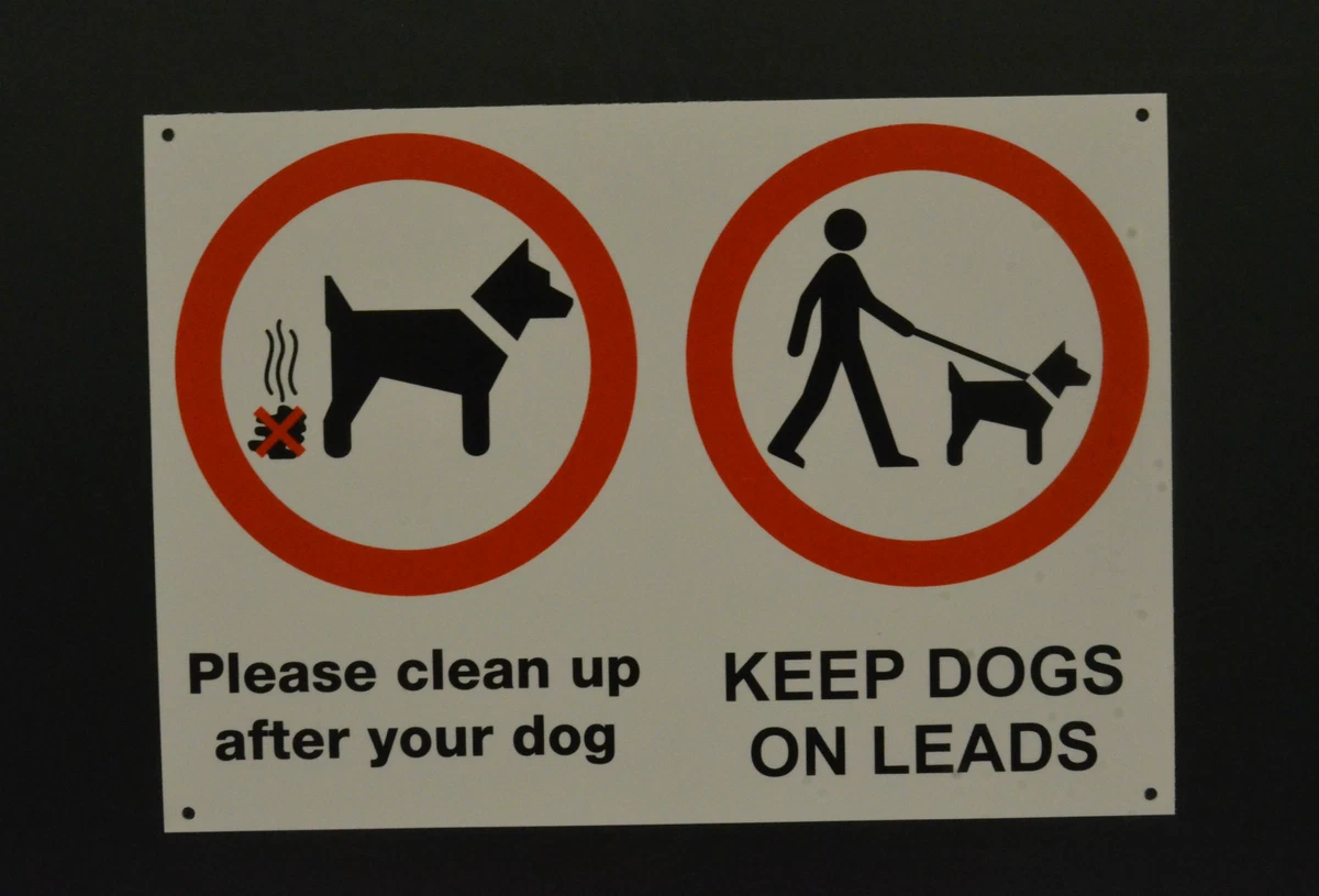Keep your dog on a lead top