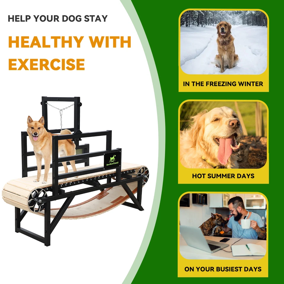 Dog Treadmill Suitable for Medium and Large Dogs up to 230 lb No Electricity - Image 3 of 4