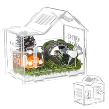 Jumping Spider Enclosure for Small Species Acrylic Reptile Terrarium Habitat ...