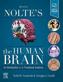 Noltes The Human Brain: An Introduction to its Function... | Buch | Zustand gut