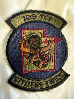  109TH TACTICAL CONTROL FLIGHT 'CITIZENS TWICE', SUBDUED 4 x 3 inches
