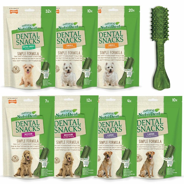 nylabone nutri dent complete