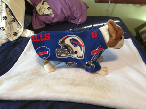 buffalo bills dog shirt