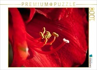 Calvendo Puzzle Amaryllis | 1000 Pieces, Finished Size 25.2 × 18.9 In (64 × 48 C