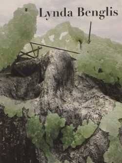 LYNDA BENGLIS: WATER SOURCES By Nora R. Lawrence - Hardcover Excellent Condition