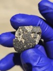 NWA L5 Meteorite 21.570g Fresh Fusion Crusted Individual W0 Provisional — photo 8