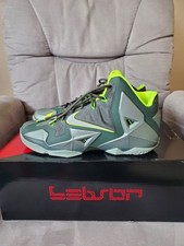Nike LeBron 11 Dunkman Size 11 NEW 616175 300 Basketball Shoes