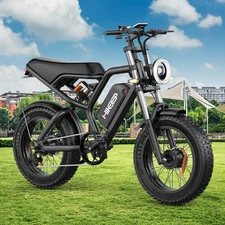 Hikeep 20" Fat Tire Adult Electric Bike 3000W Peak Dual Motor MTB Bicycle eBikes