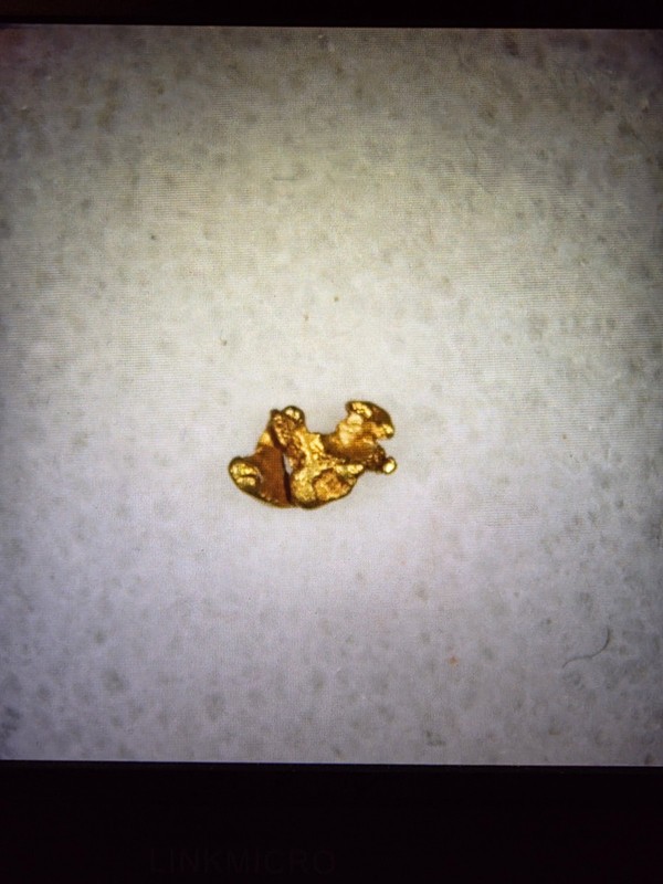 Pure Gold Nugget California Natural Small Gold Nugget .064 of a Gram, Beautiful!