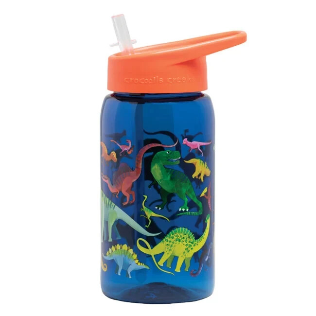 Kids Crocodile Creek Puzzels Drinking Water Bottle With Straw Dinosaur NEW UK
