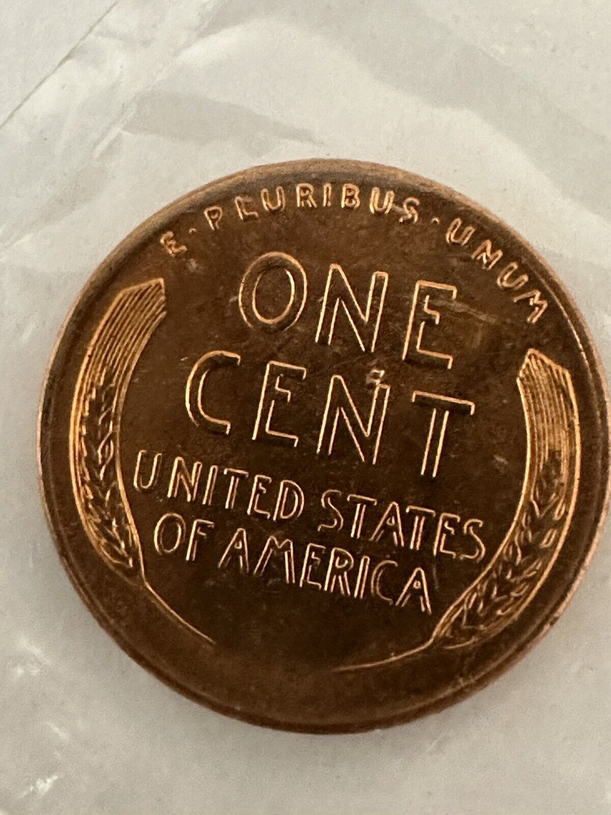 Picture 4 of 5