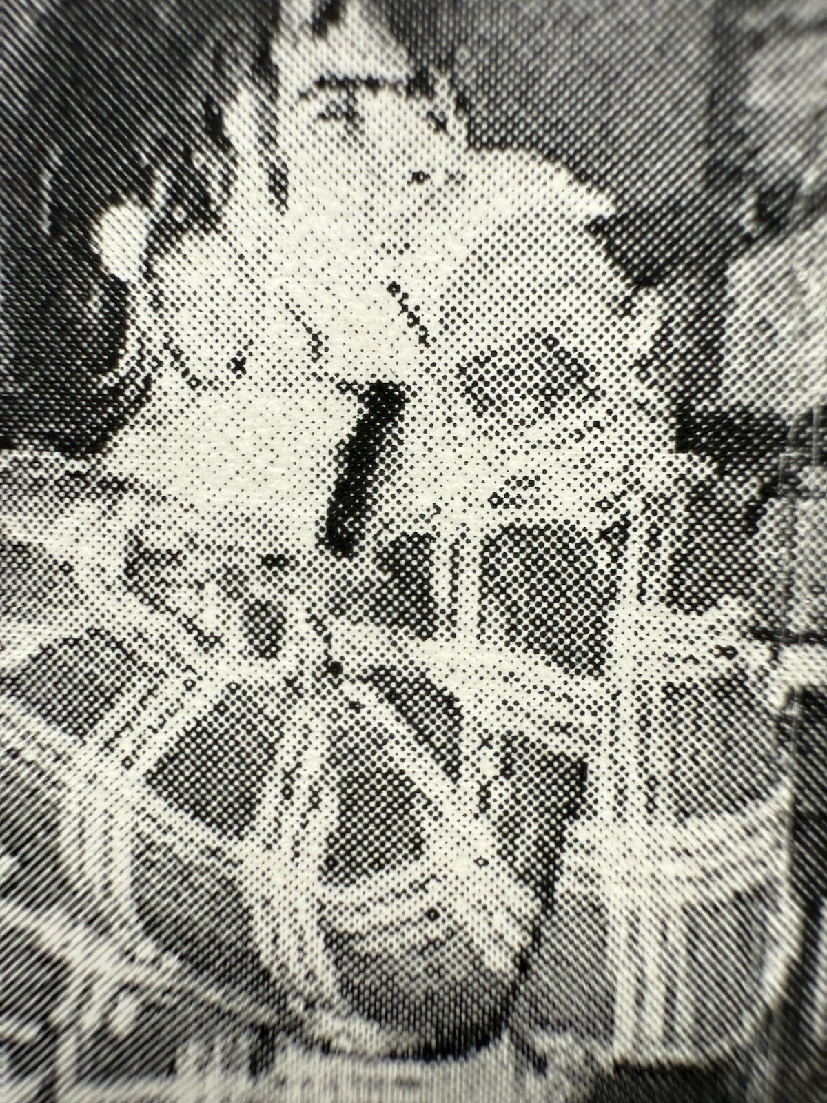 Picture 5 of 10