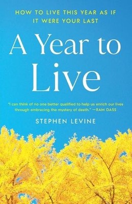 Stephen Levine A Year to Live (Paperback)