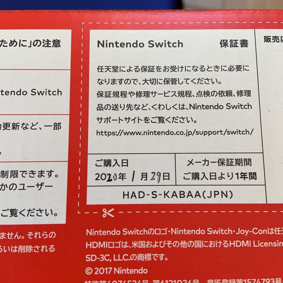 Nintendo Switch Had-S-Ka