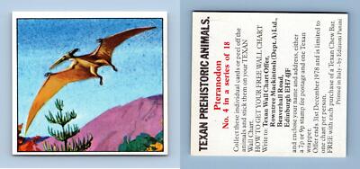 Pteranodon #4 Texanische prähistorische Tiere 1978 Panini Aufkleber