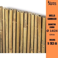 Arella in bamboo STAR canniccio di canne bambu recinzione per giardino h 1 x 3 m