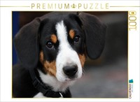 Calvendo Puzzle Dog | 1000 Pieces, Finished Size 25.2 × 18.9 In (64 × 48 Cm) | P
