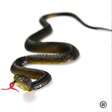 45Cm Fake Realistic Rubber Toy Snake Simulation Anaconda Scary Halloween to Scar