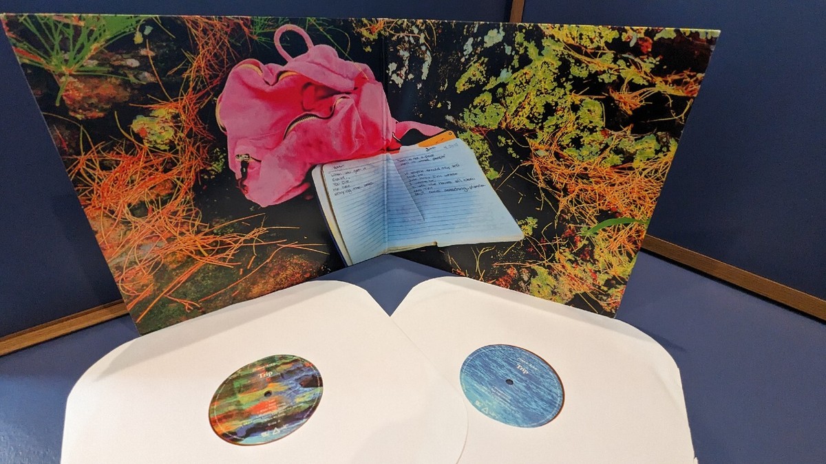 Jhene Aiko Trip Vinyl | eBay