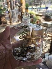 New Lifetime Candle White River Designs Seashell Cylinder Oil Lamp Candle