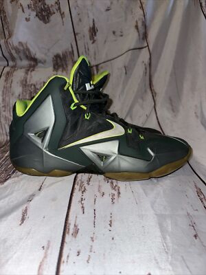 lebron 12 retro